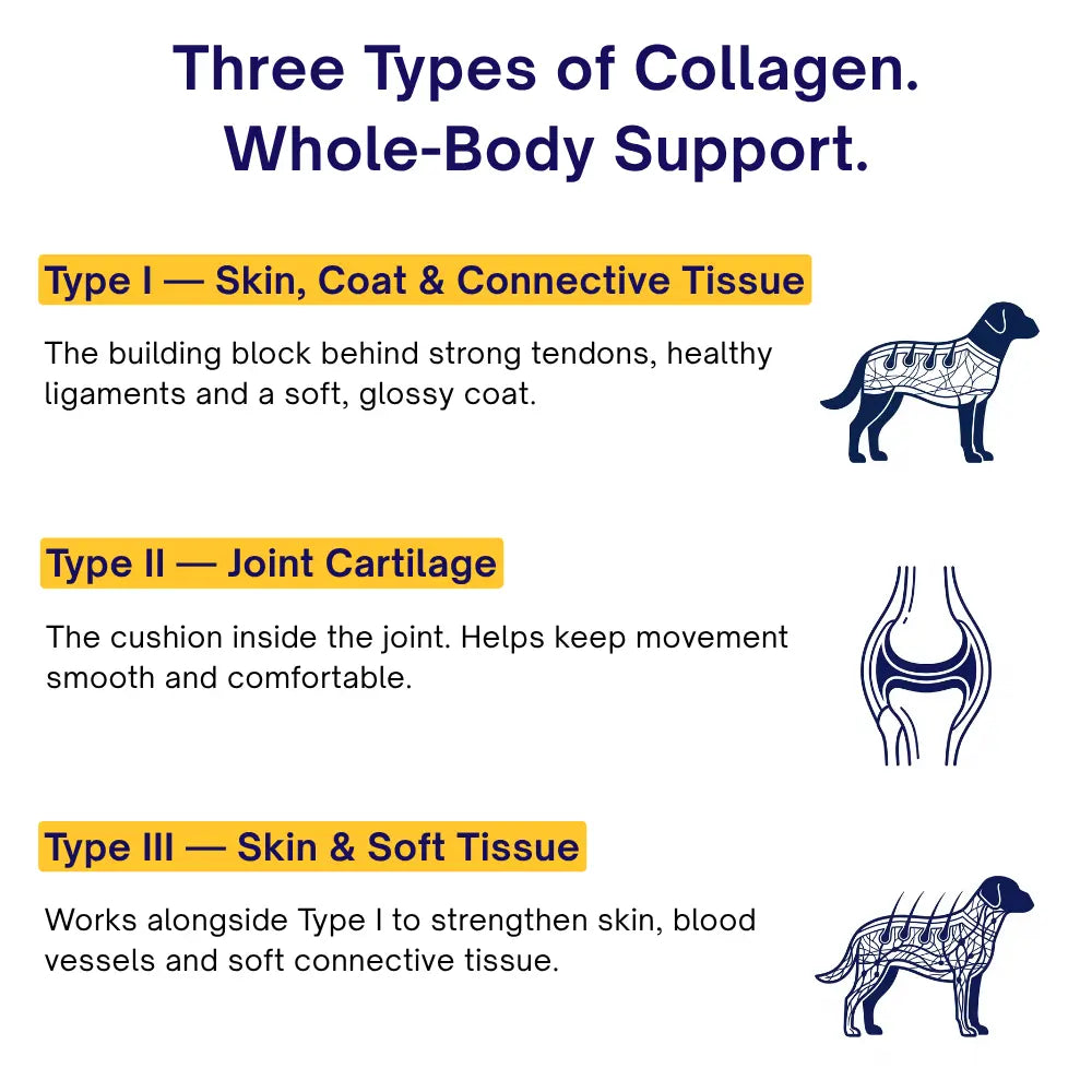 RescueRevive - Liquid Collagen