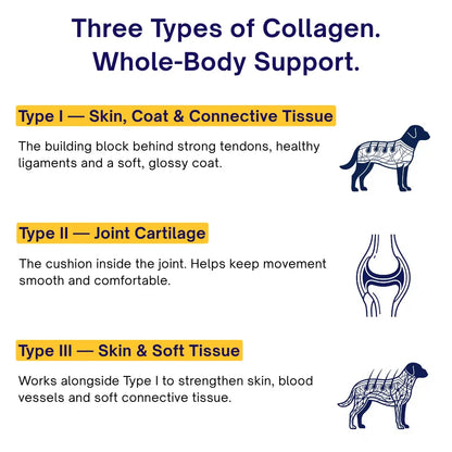 RescueRevive - Liquid Collagen