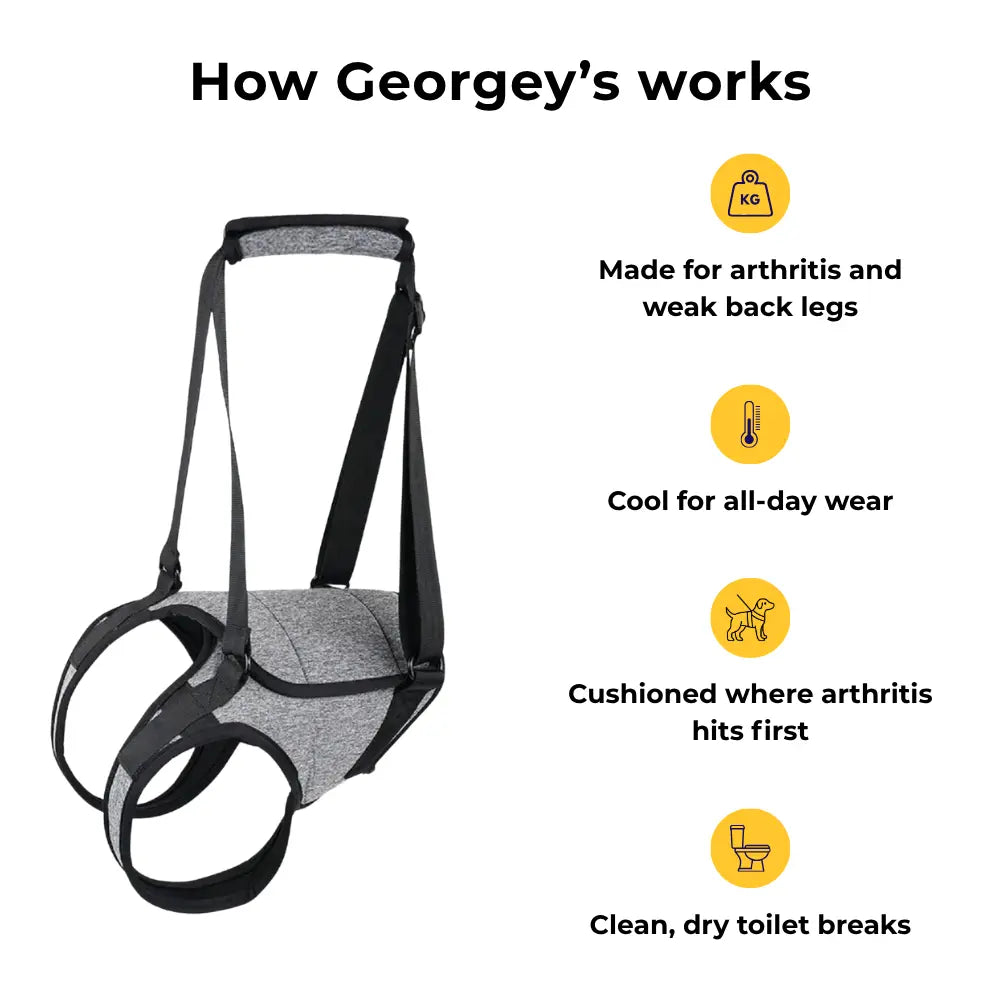 Rear Support Harness
