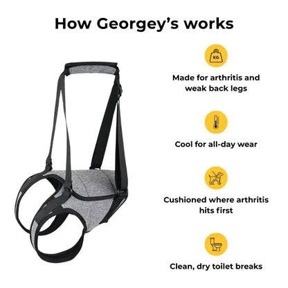 Rear Support Harness