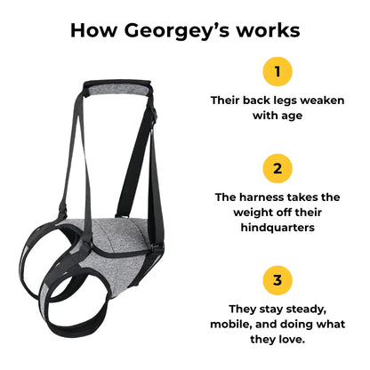 Rear Support Harness