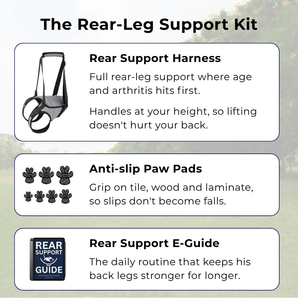 Rear Support Harness
