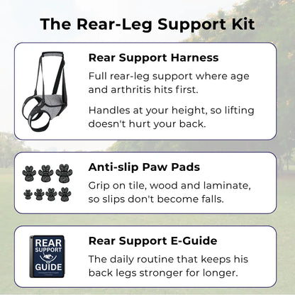 Rear Support Harness